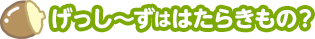 げっし～ずははたらきもの？