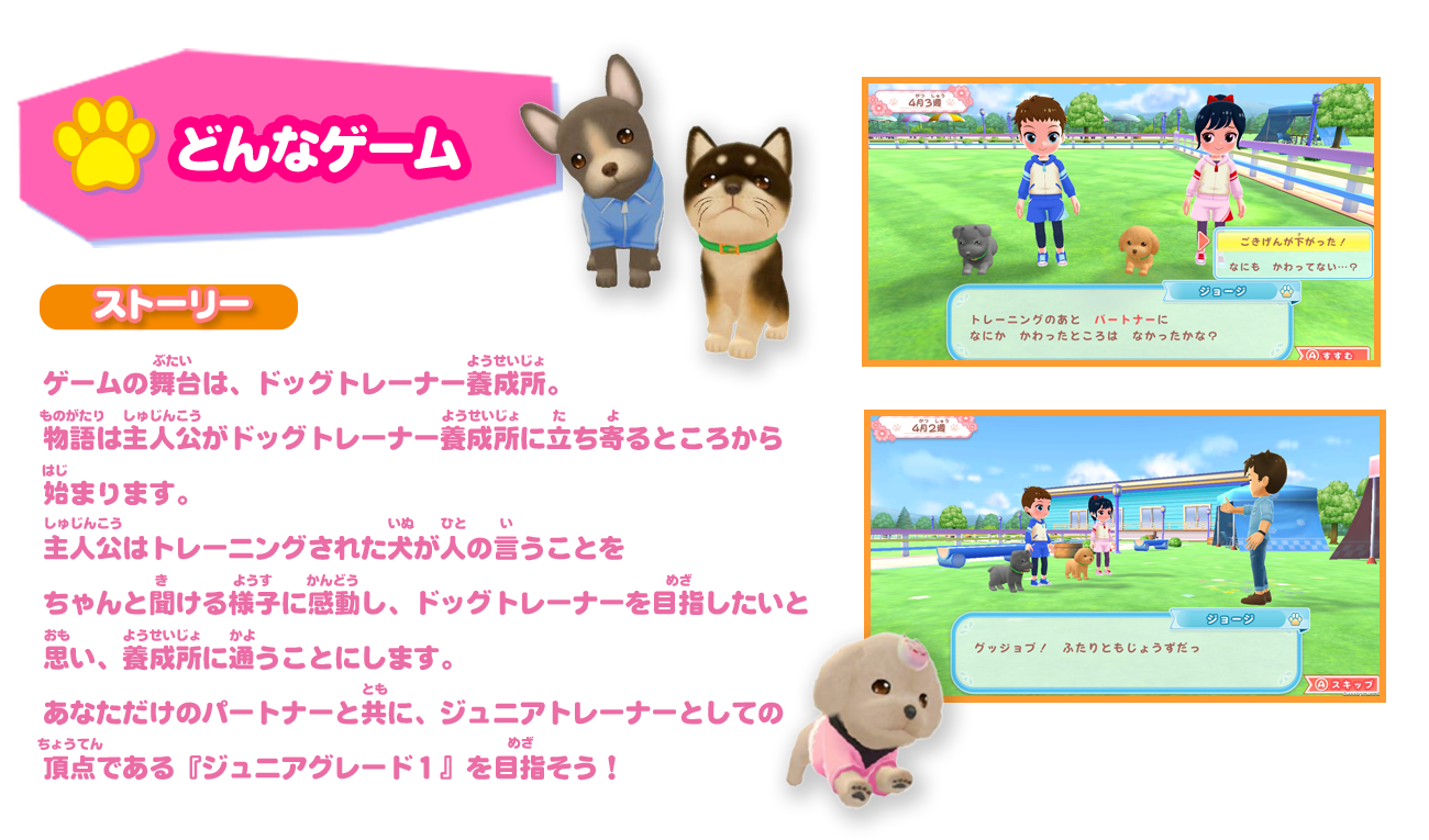 Nintendo Switch わんことあそぼ！ めざせドックトレーナー！